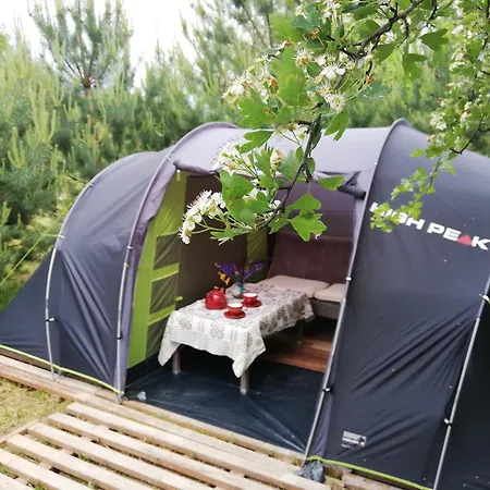 Tent Under Pines Glamping *