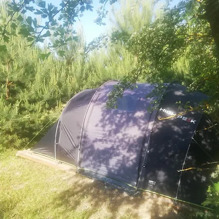 Tent Under Pines * Vilnius