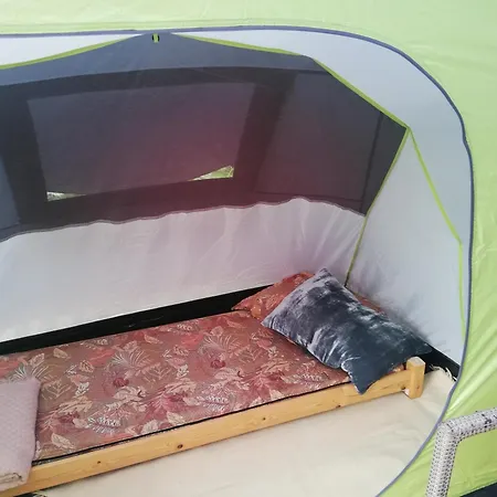 Tent Under Pines Вільнюс